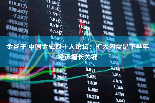 金谷子 中国金融四十人论坛：扩大内需是下半年经济增长关键